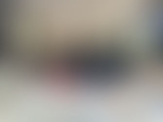 Stripping out the lining, creating a clean slate