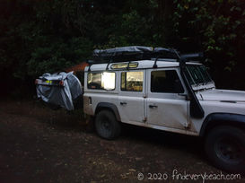 Tropical rain forests thrive on tropical rain...