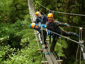 Flying through the canopy of an ancient forest with my sister and my mother