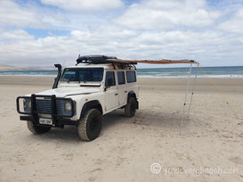 New pics, movies & more