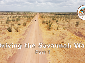How late is too late to drive the Savannah Way?
