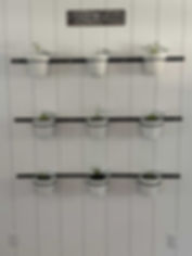 Metal Wall Plant Holders 