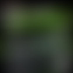 KAWASAKI MOTOAHOLIC SHIFT INTO SEPTEMBER ðĨðāļāļĢāđāļāļĄāđāļāļĨāļĩāđāļĒāļāļāļļāļāļāļēāļĢāđāļāļīāļāļāļēāļāđāļŦāđāđāļāđāļāđāļĢāļ·āđāļāļāļŠāļāļļāļ! ððïļāļāđāļēāļ§āđāļāđāļēāļŠāļđāđāđāļāļ·āļāļāđāļŦāļĄāđ āļāļĢāđāļāļĄāļāđāļāđāļŠāļāļāļāļīāđāļĻāļĐâĻ(āļ§āļąāļāļāļĩāđ - 30 āļāļąāļāļĒāļēāļĒāļ 2569)