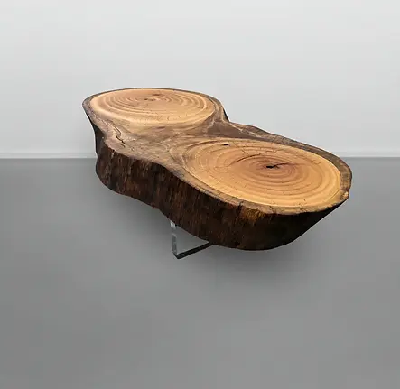 mesadecentrotoratroncoarboreal_940x (1).webp