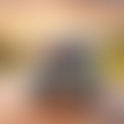 Which Vehicle Insurance Providers are the Best in Ghana?