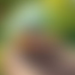 Car Selling Tips in Ghana: A Comprehensive Guide to Getting the Best Price