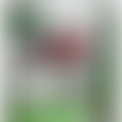 How do I know which brake fluid to use DOT 3 or DOT 4?