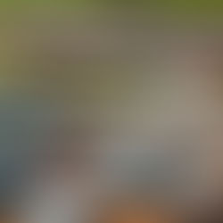 Second-Hand Cars in Ghana | Used Cars in Ghana | Buying and Selling Guide