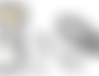 What are the main components of a car fuel supply system?