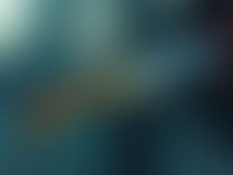 Uncovering the Mystery: How Many Quarts of Transmission Fluid Does Your Car Really Need?