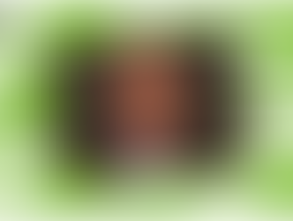 Movers & Shakers: Scott Stump with the National FFA Organization