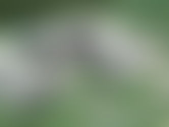 This Potash Is 'Born in the USA'