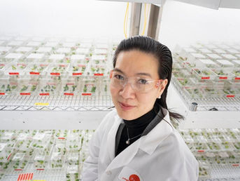 A Patent Party at Inari