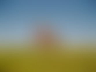 Black Sea Conflict Blackens Sunflower Markets