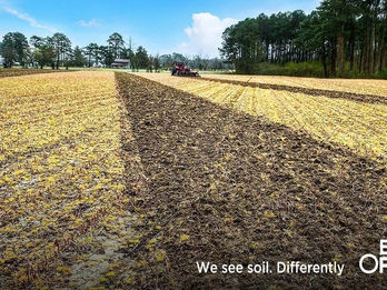 Carbon Solution Craze Continues