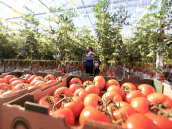 Indoor Ag Gets A Boost