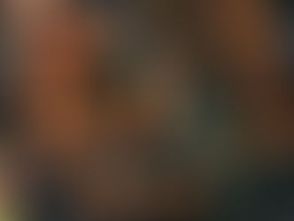 Florida's Bummer Crop