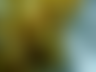 Seazing the Seaweed Moment