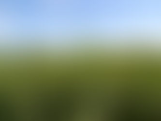 AgTech Gets in the Weeds