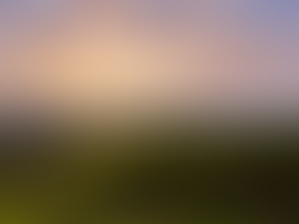 Red, White, and Brew