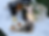 FE9E9A34-F943-4EEB-80EA-2DDCDFDE8404_edited_edited.png
