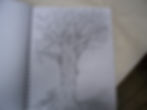 100_1857.JPG