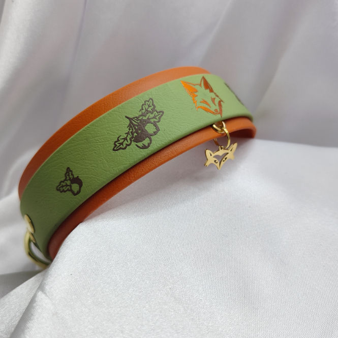 Miniature : collier pour chien en biothane