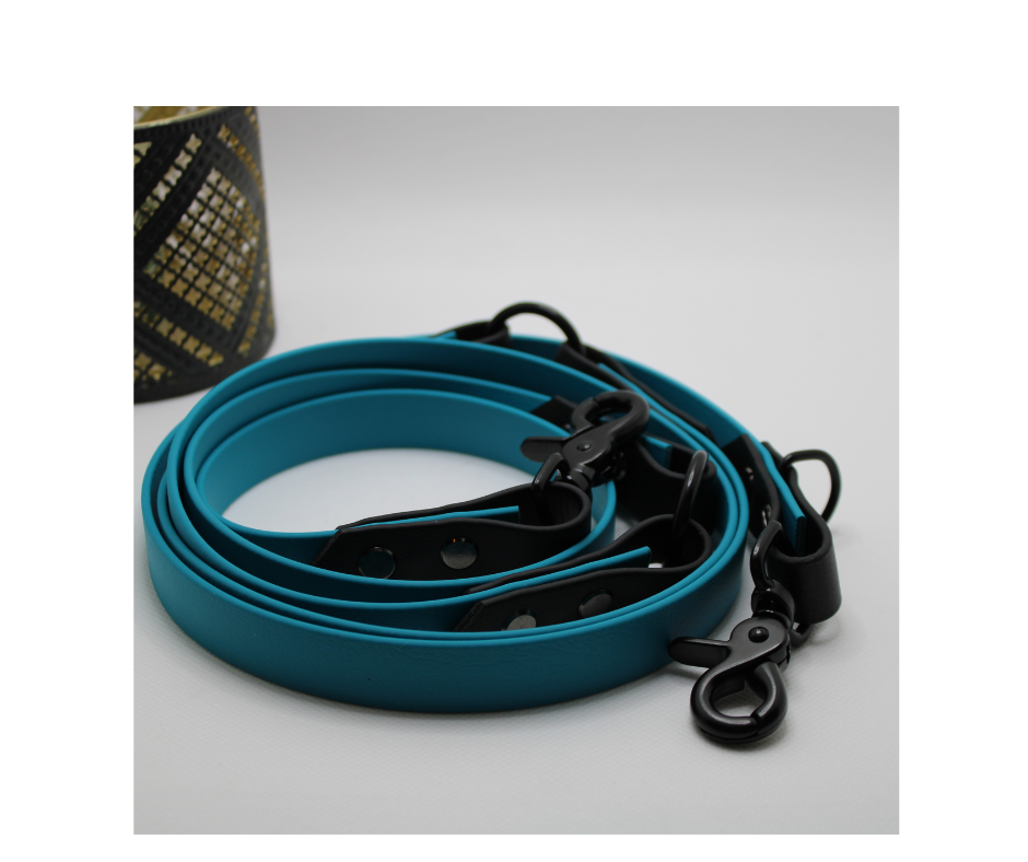 Miniature : laisse 3 points en Biothane