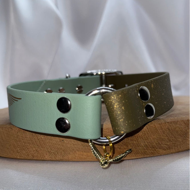 Miniature : collier porte médaille en biothane