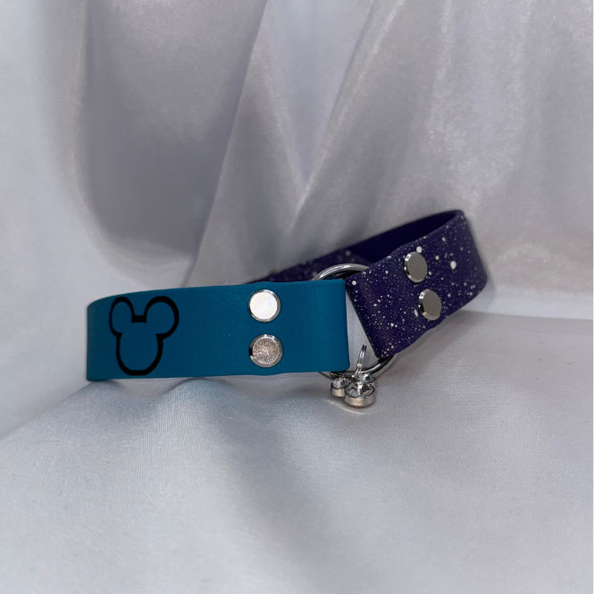 Miniature : collier porte médaille en biothane