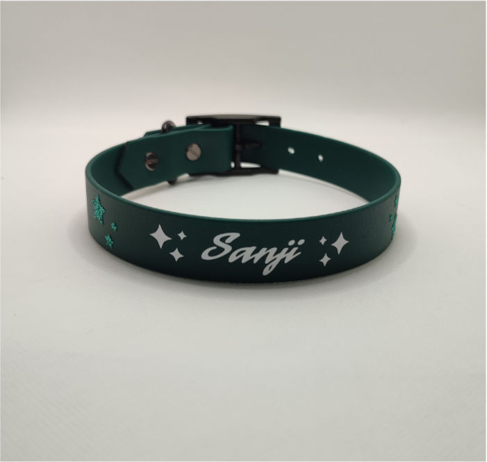 Miniature : collier biothane de 25mm de large en couleur vert foncé personnalisé avec le nom du chien et motifs d'étoiles