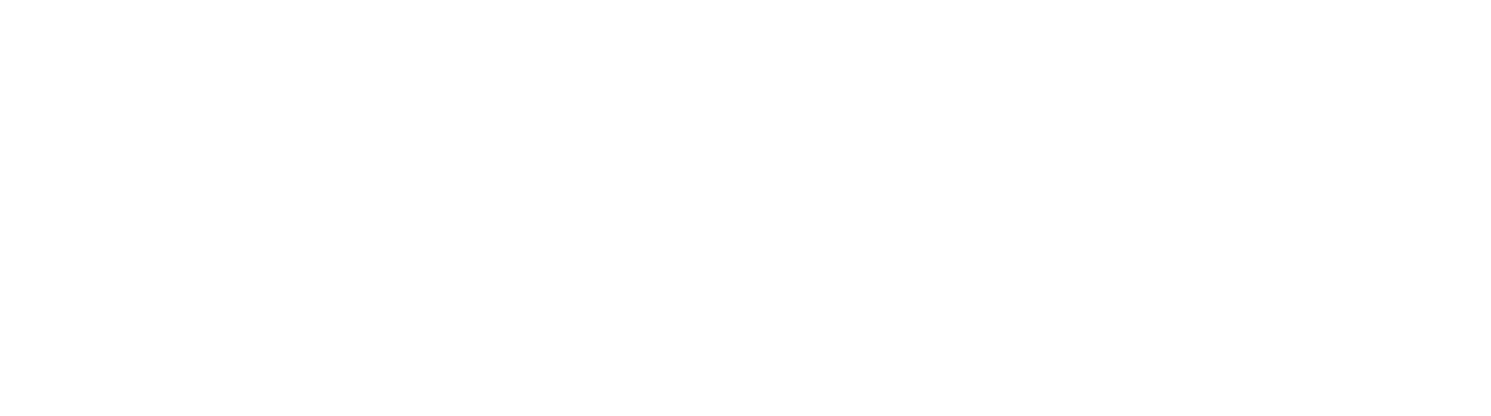 Andy's Driving Academy Logo 2 (white).png
