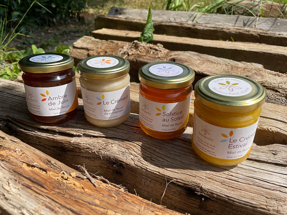 Collection de miel artisanal