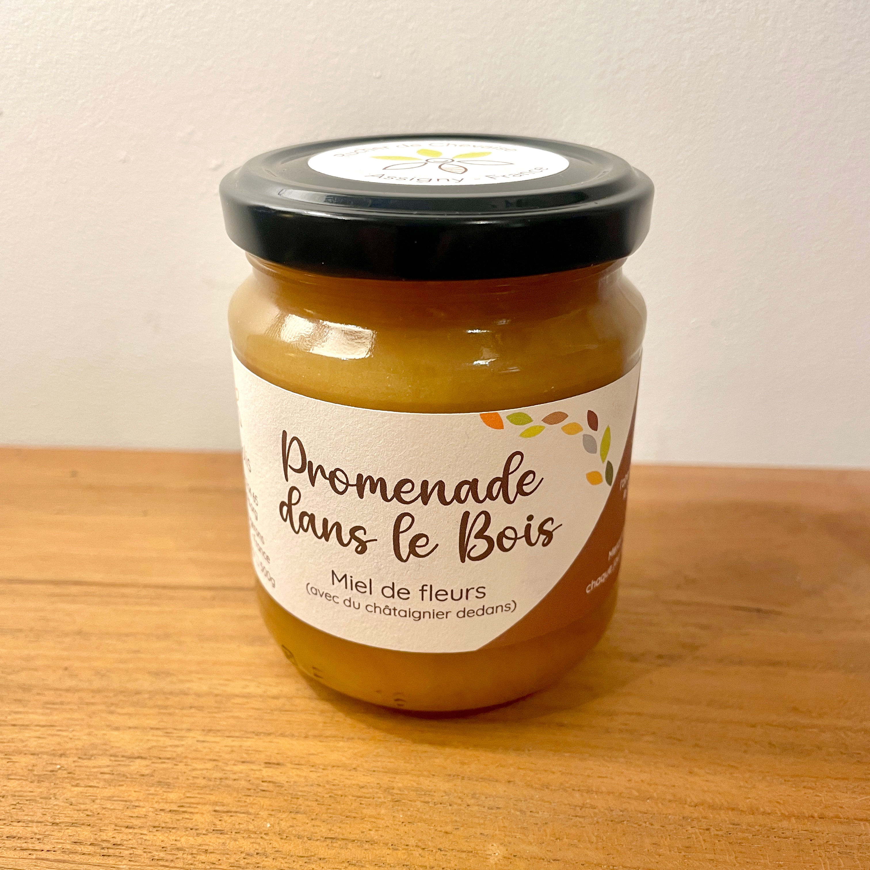 Promenade dans le Bois