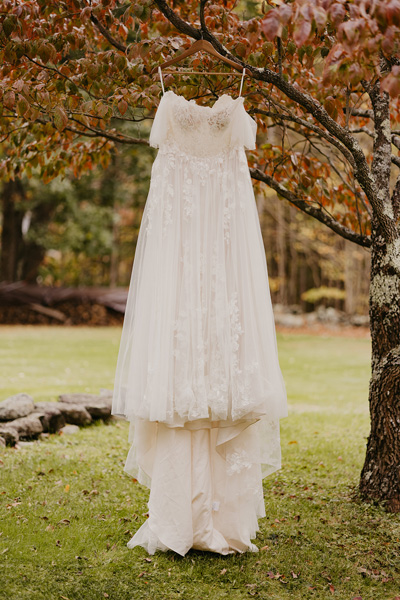 A dress hanging from a tree