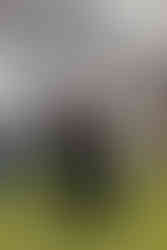 A groom and mother walking down the aisle