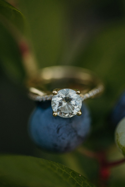 A ring on a blueberry