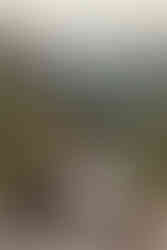 couple embracing each other