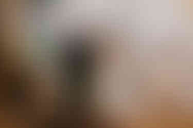 A couple entering during reception