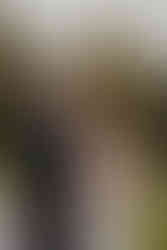 A couple embracing after wedding