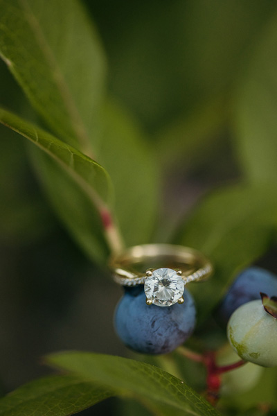 A ring on a blueberry