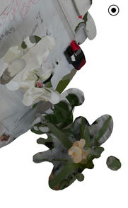 IMG_6808_edited.jpg