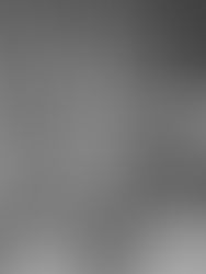 Amedeo Modigliani: an Eye for the World and One for the Soul