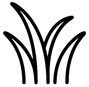 grass