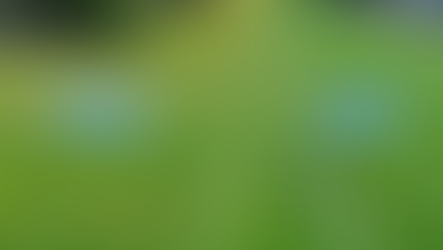 Keep Weeds at Bay: The Importance of Lawn Pre-Emergent in the Inland Northwest