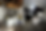 Untitled design (5).png