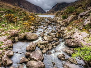 Nourishing Spiritual Seekers