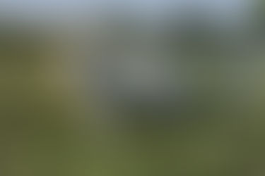 Чувачі і пастуша служба