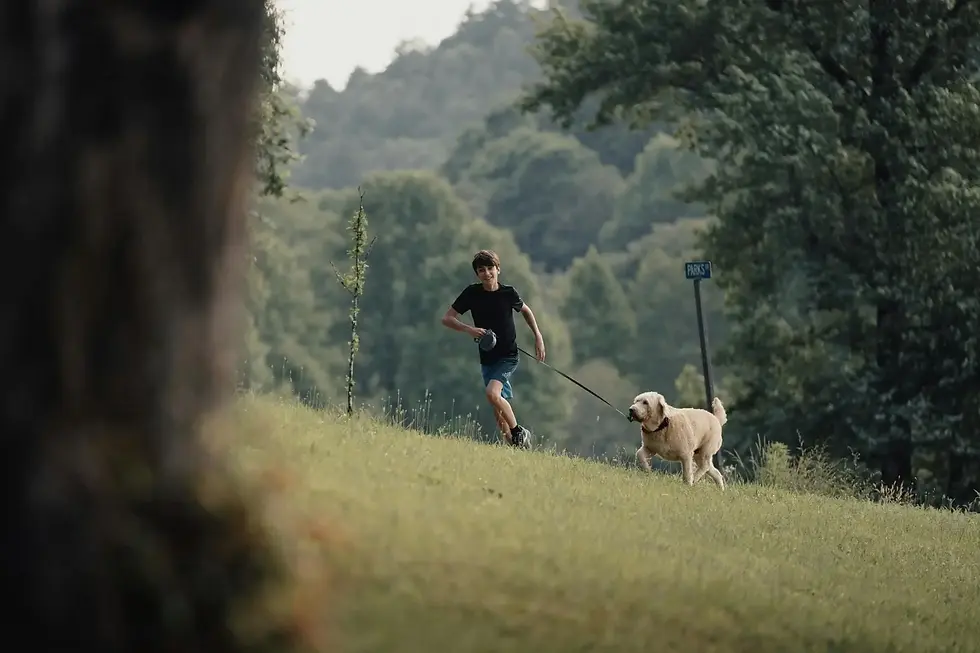 Happy dog and owner enjoying a training walk together in a peaceful outdoor setting.