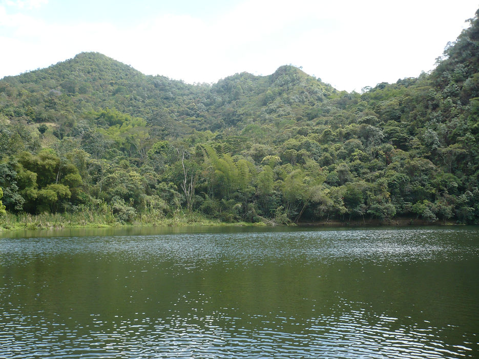 P1100931.JPG